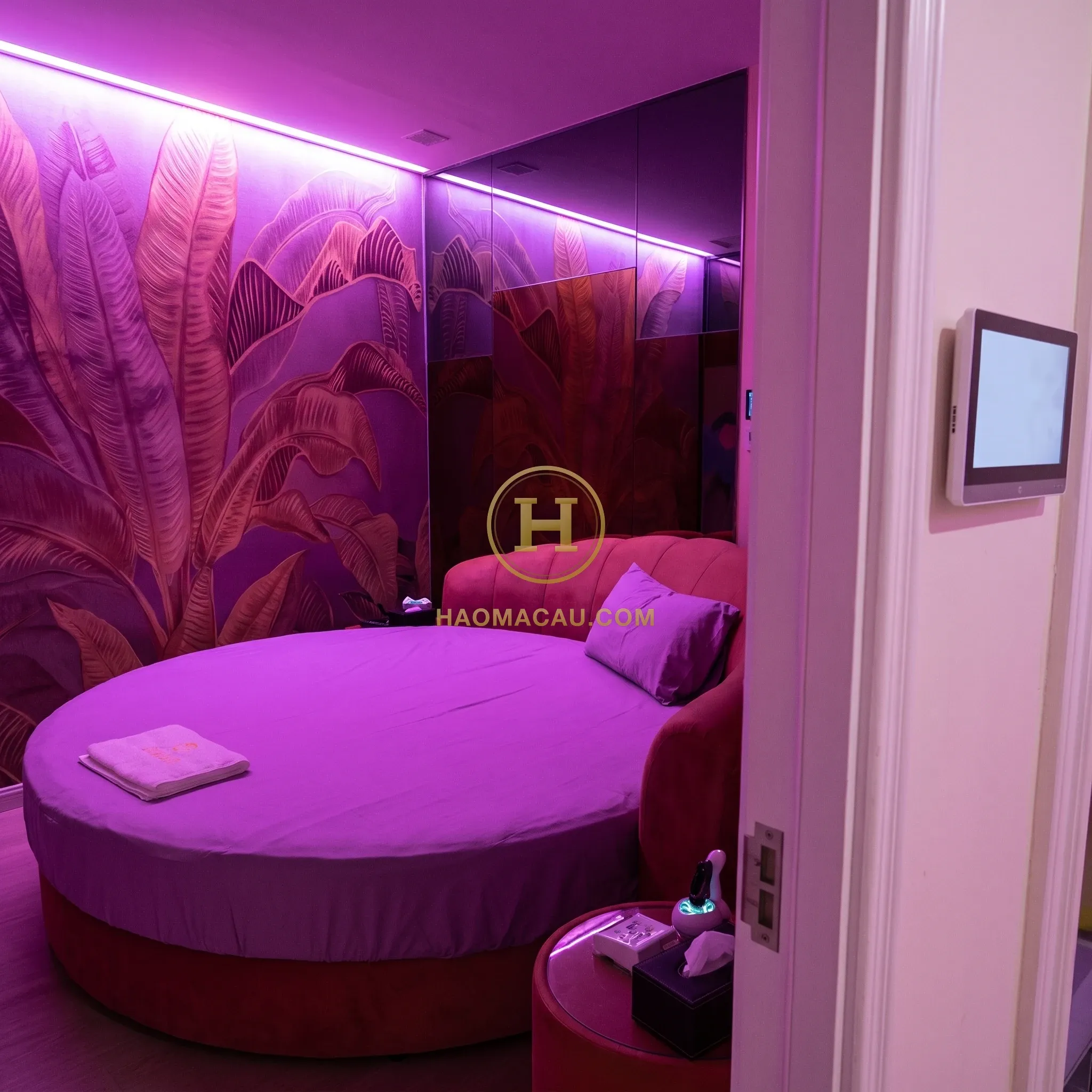 Golden Phoenix Sauna – Pink-lit round-bed room